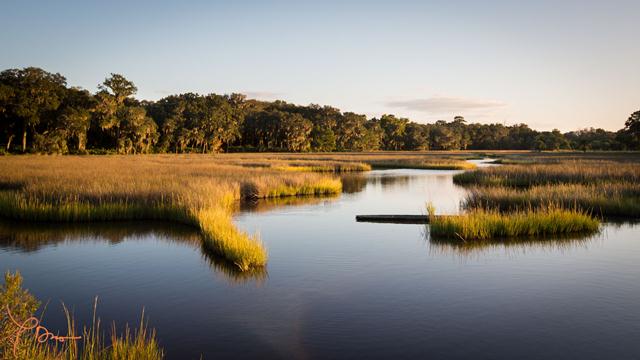 savannah ground water