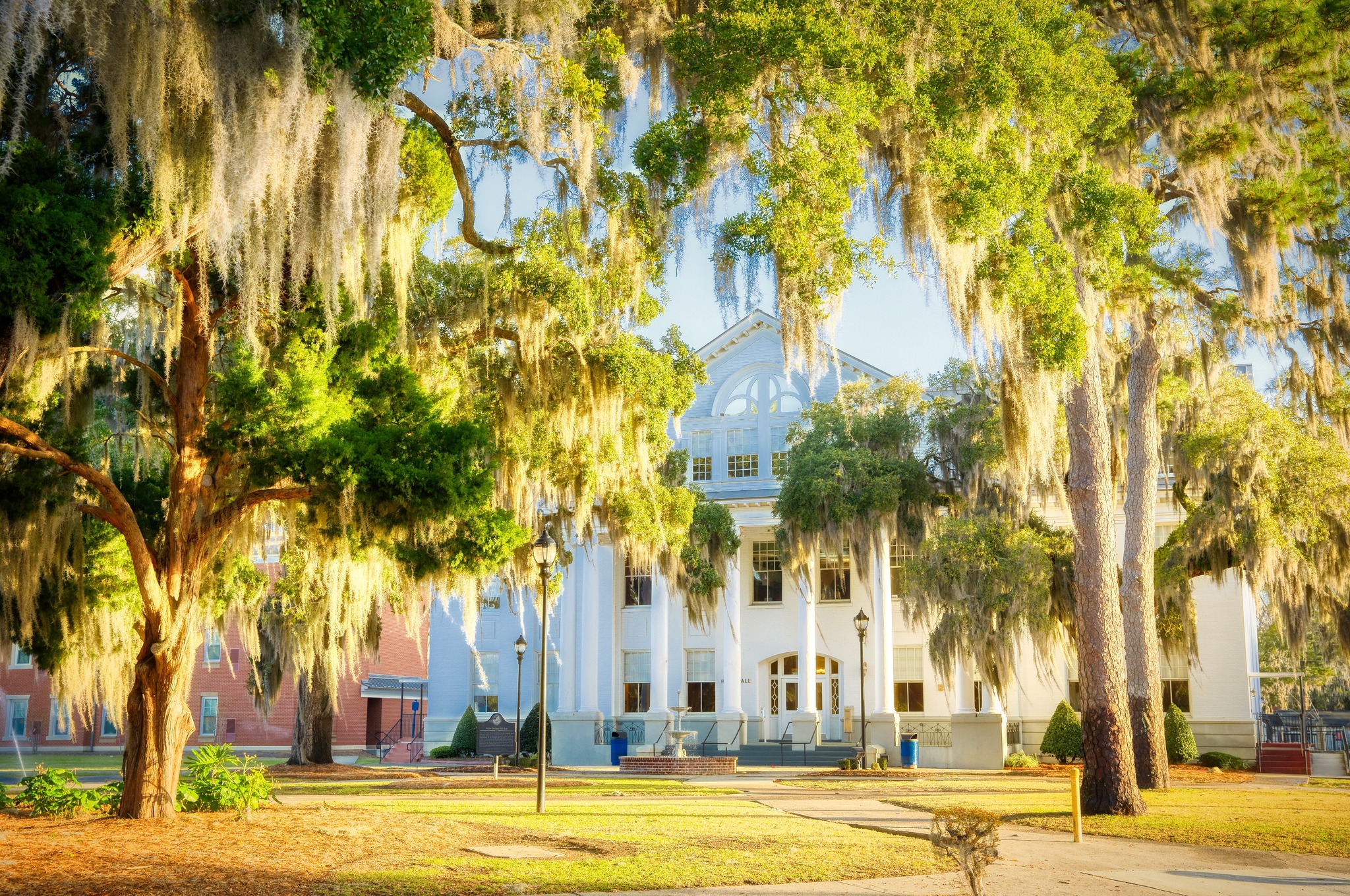 savannah state university students faculty colleges 12