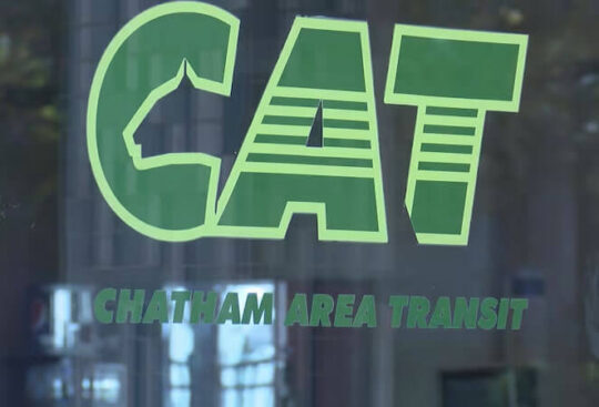 cat logo on window