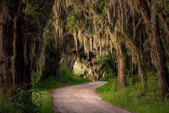 savannah savannah wildlife refuge