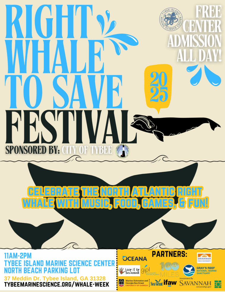 Free Screening of “Entangled” Kicks Off the Savannah and Tybee Island, Ga. Whale Week 2025